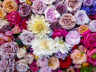 group of multi colored flowers