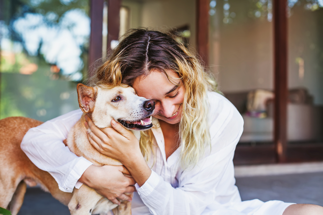 can-pet-dander-cause-hives-allergy-defender