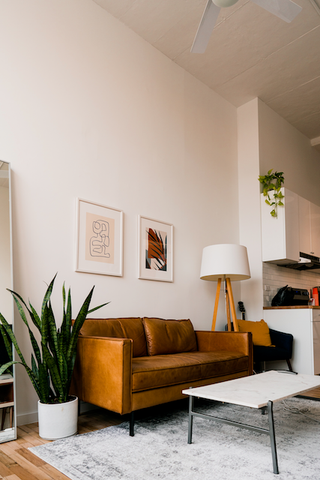 living room scene