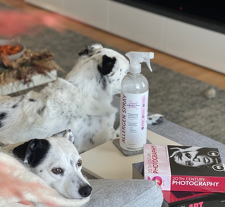 allergy defender allergen spray on coffee table by two dogs and books
