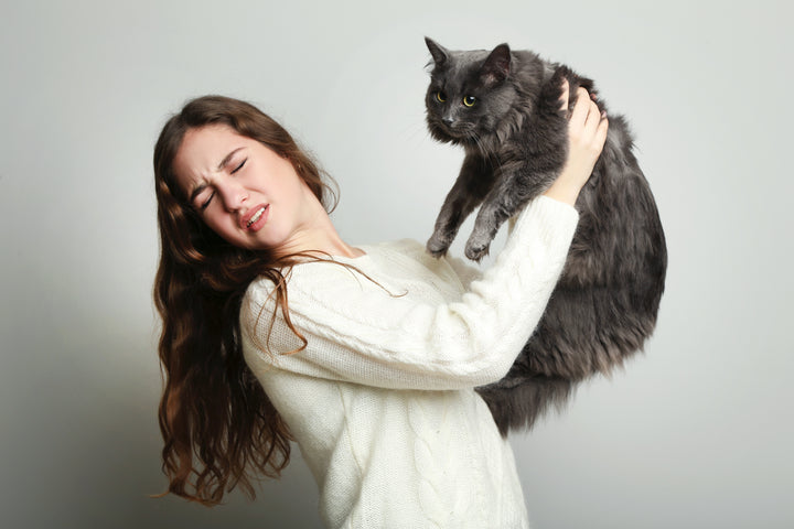 women looking away from cat she is holding