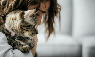 women holding cat in arms looking down