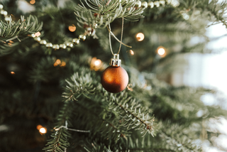 Unwrapping the Allergy Mystery: Can You Really be Allergic to Christmas Trees?
