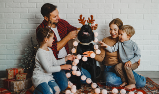 Surviving the Holidays: Visiting Family with a Pet Allergy