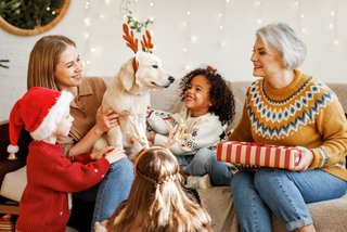 Ultimate Holiday Survival Guide for Those with Severe Pet Allergies: Navigating Family Gatherings with Confidence and Comfort