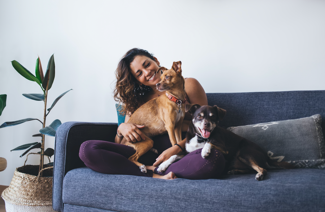 two women sitting on bed laughing with dog