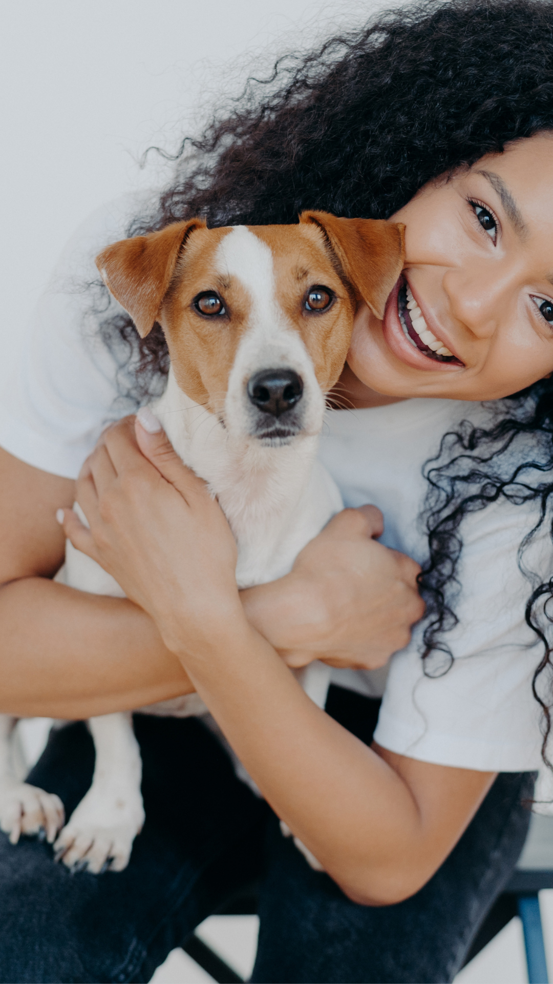 women holding jack russel on her lap with white background
