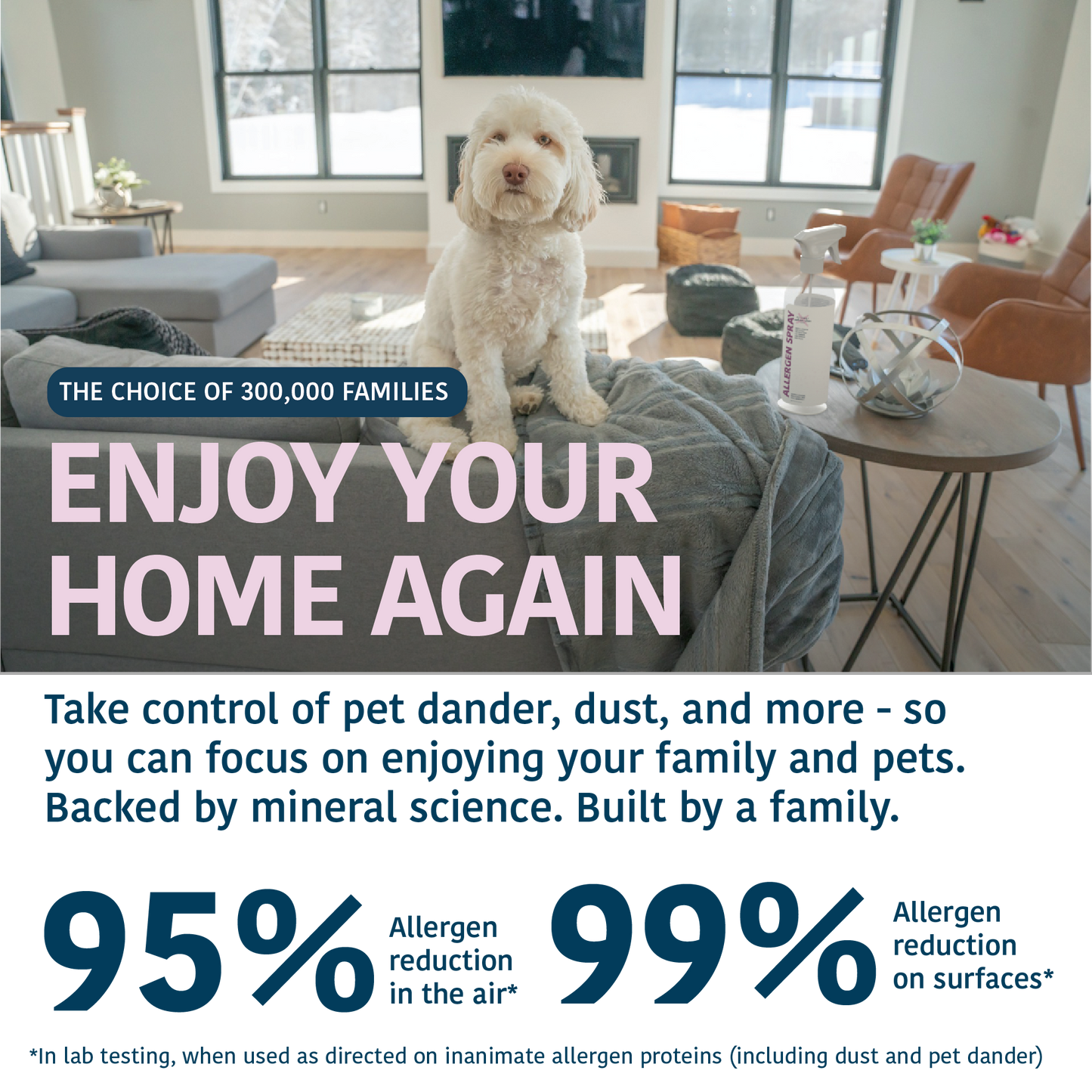 Allergy Asthma Clean Allergen Spray Refill 2 Pack 64oz by Allergy Defender