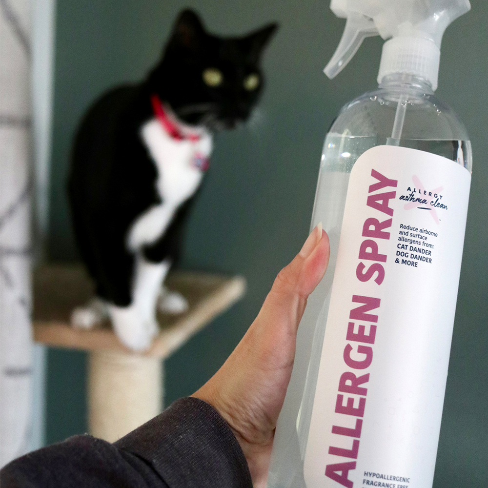 Fel d 1: The Protein Behind Cat Allergies | Allergy Defender