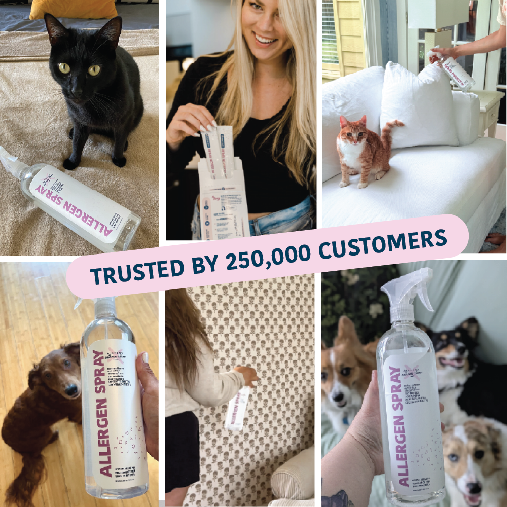 Allergy Asthma Clean Allergen Spray Bottle + One Refill over 64oz by Allergy Defender