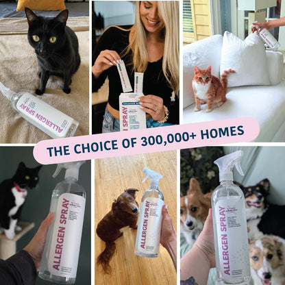 Allergy Asthma Clean Allergen Spray 33.8oz by Allergy Defender