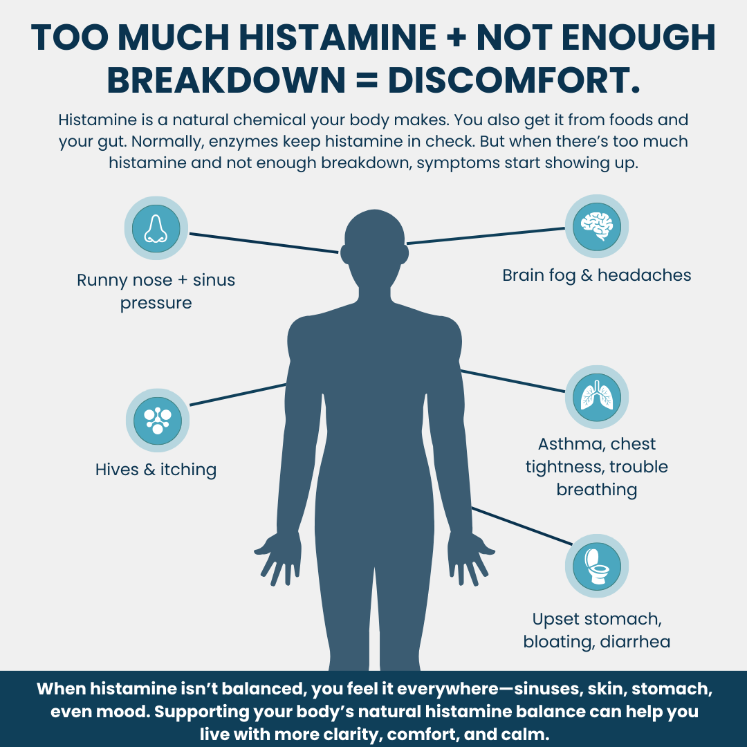 HistaDefender DAO 60 capsules by Allergy Defender