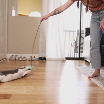 Allergy Asthma Clean Allergen Spray Bundle over 100oz by Allergy Defender