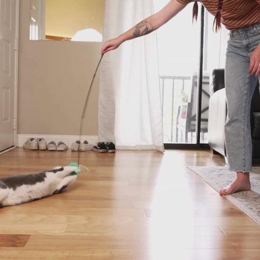 Allergy Asthma Clean Allergen Spray Bundle over 100oz by Allergy Defender