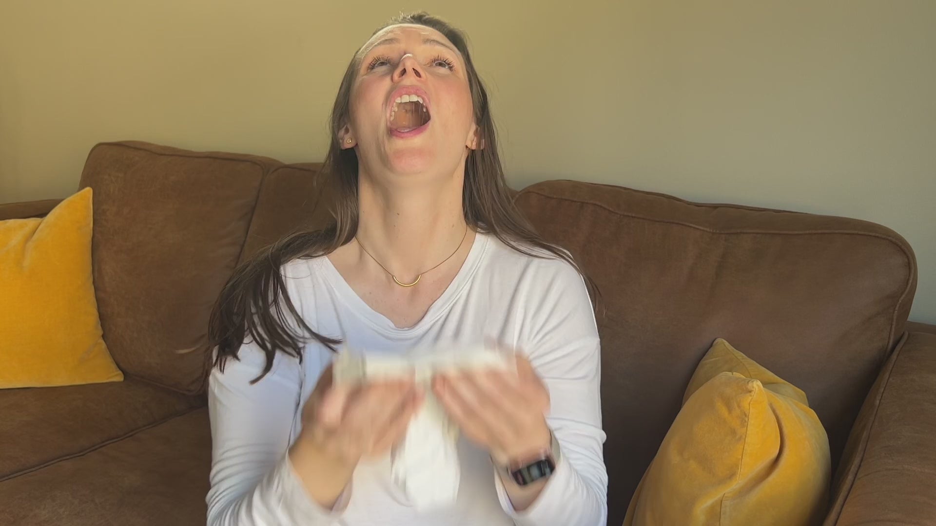 Allergen Spray refill 2 pack how to use