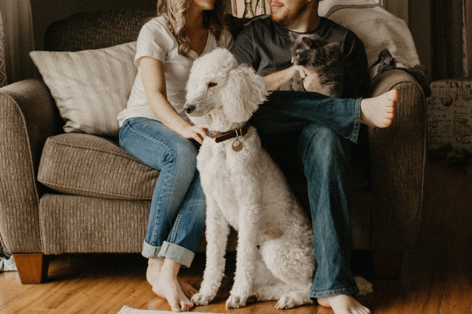 family with dog allergy asthma clean allergen spray with allergy defender