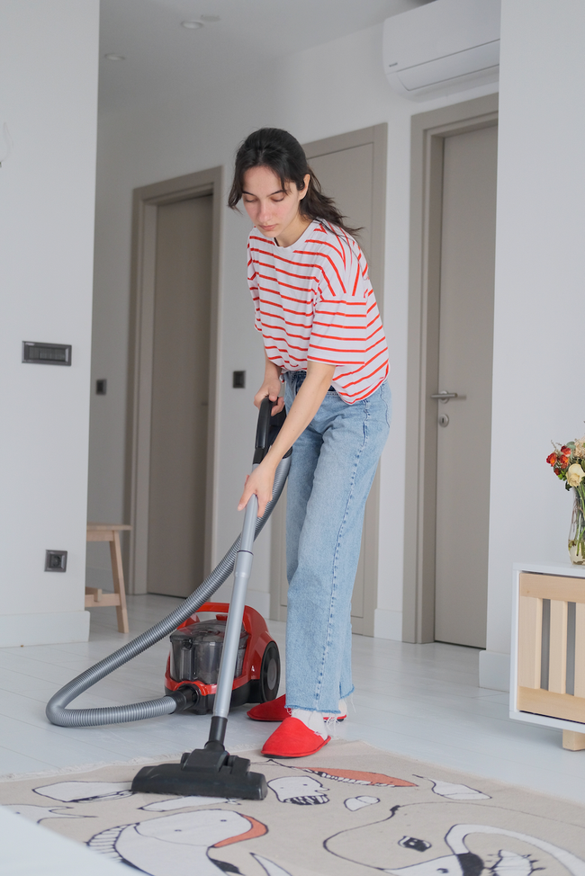 Can Vacuuming Remove Pet Dander? Allergy Defender